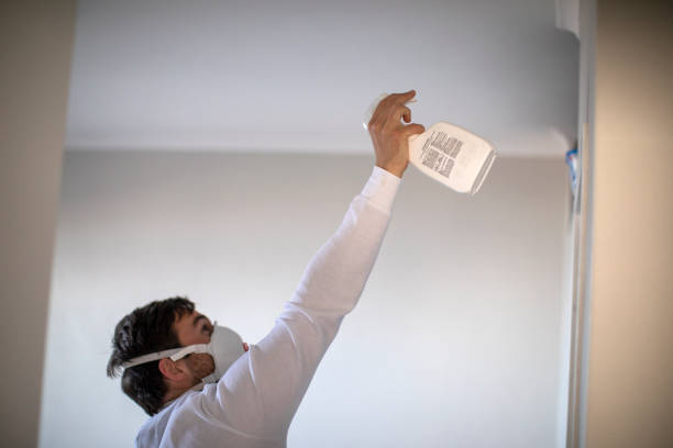 Best Mold Removal Company Near Me  in Oak Park, IL